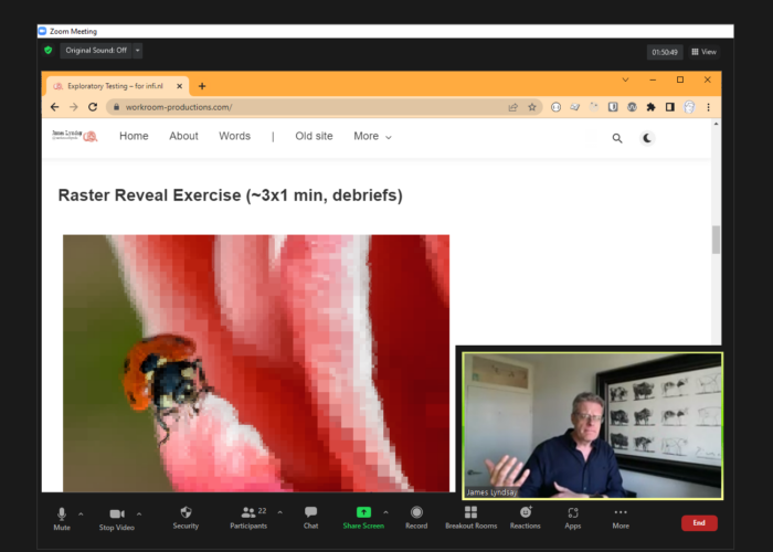 Workshop Exploratory Testing via Zoom met spreker James Lyndsay highlighted