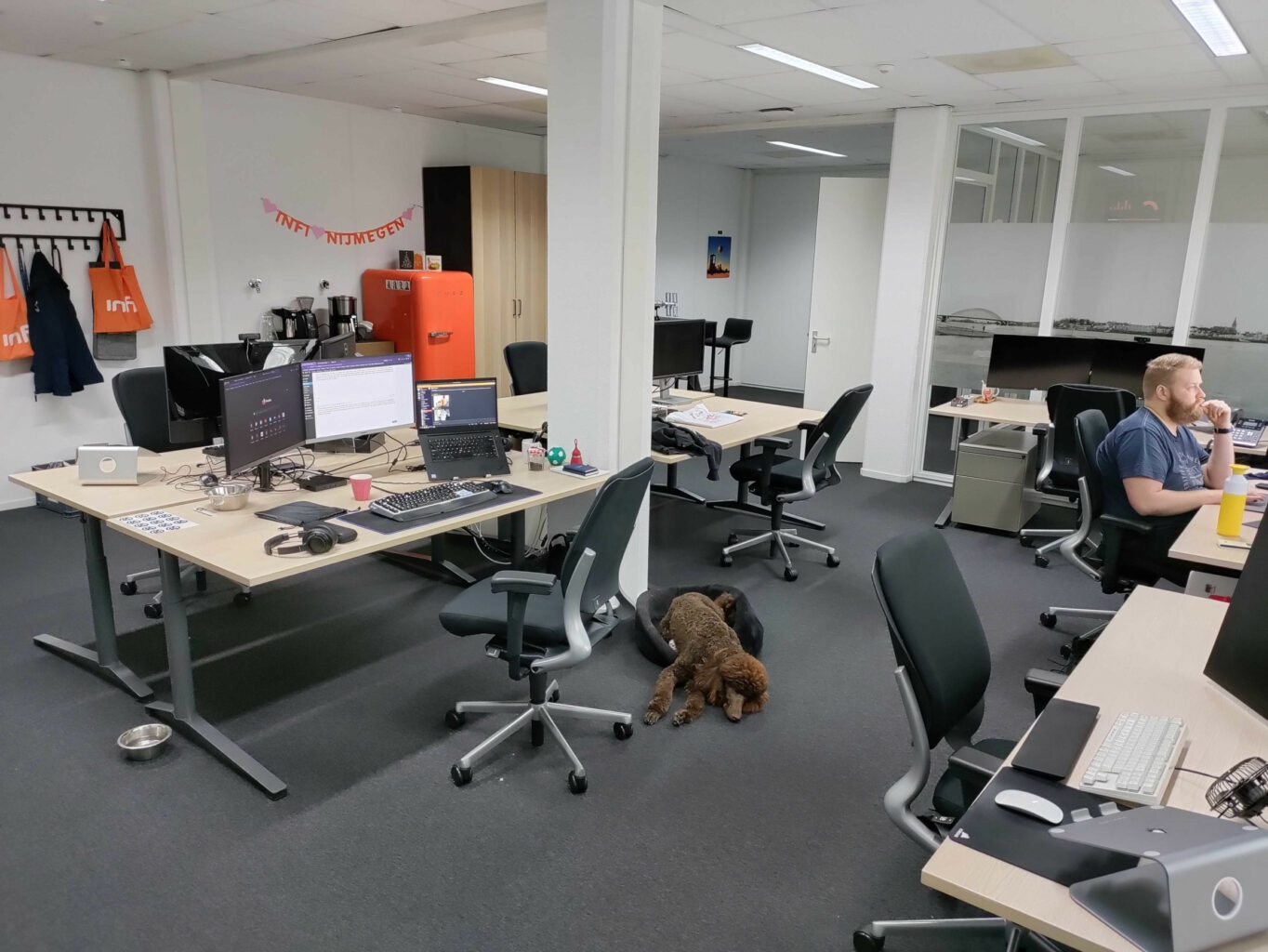 Foto van het het kantoor in Nijmegen, met een aantal lege bureau's, Thomas die aan het werk is, en Floyd die in zijn mand ligt.